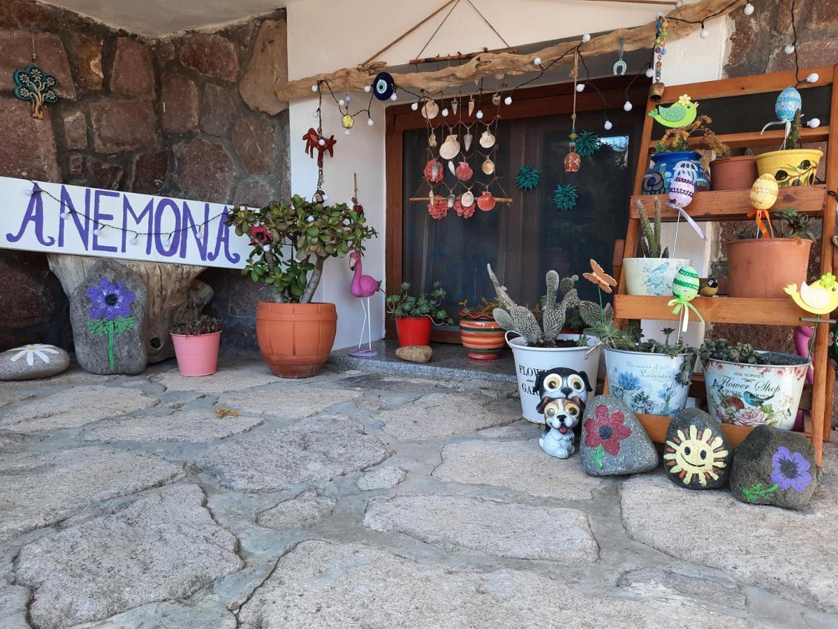 Anemona Apartment ミシナ エクステリア 写真
