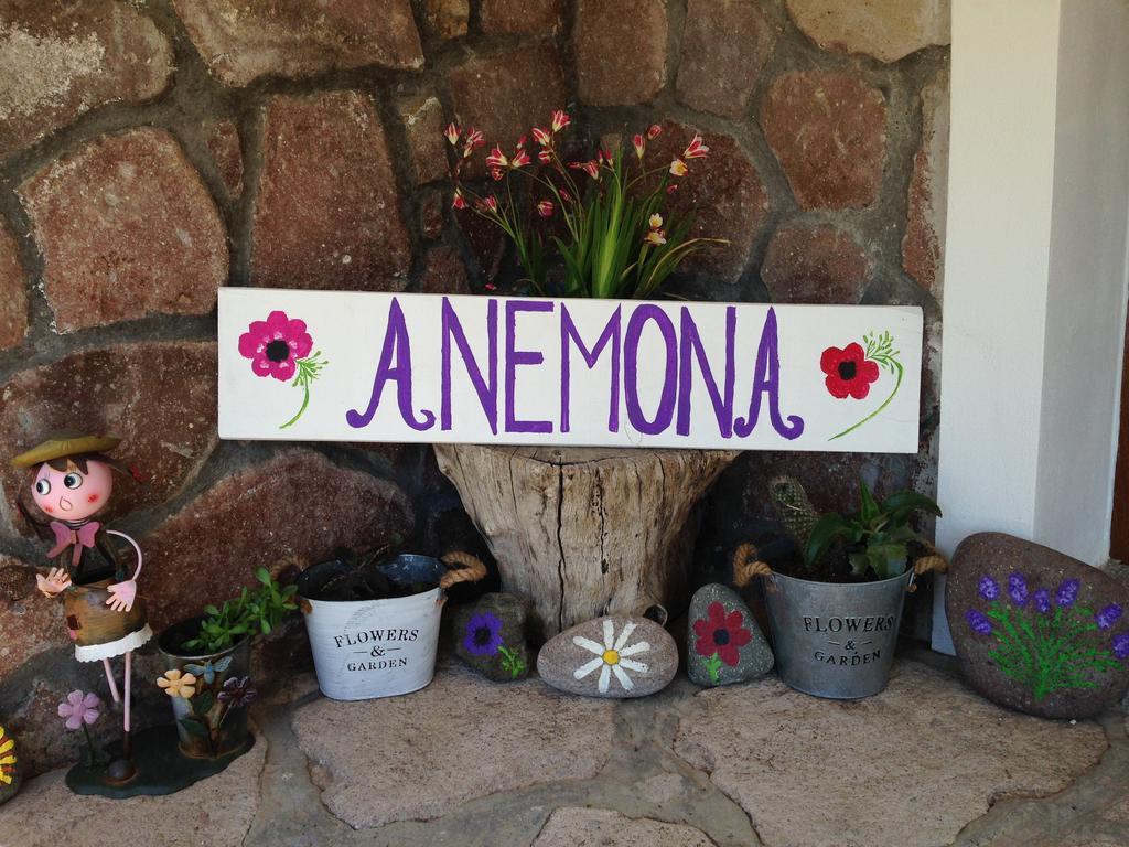 Anemona Apartment ミシナ エクステリア 写真