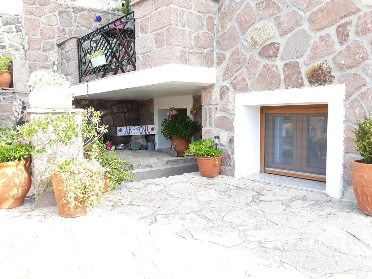 Anemona Apartment ミシナ エクステリア 写真